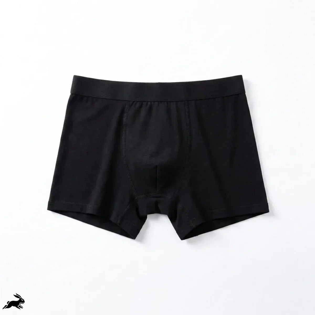 Titan Boxers Leakproof Originals