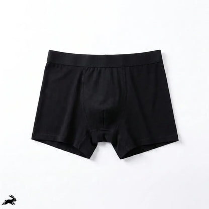 Titan Boxers Leakproof Originals