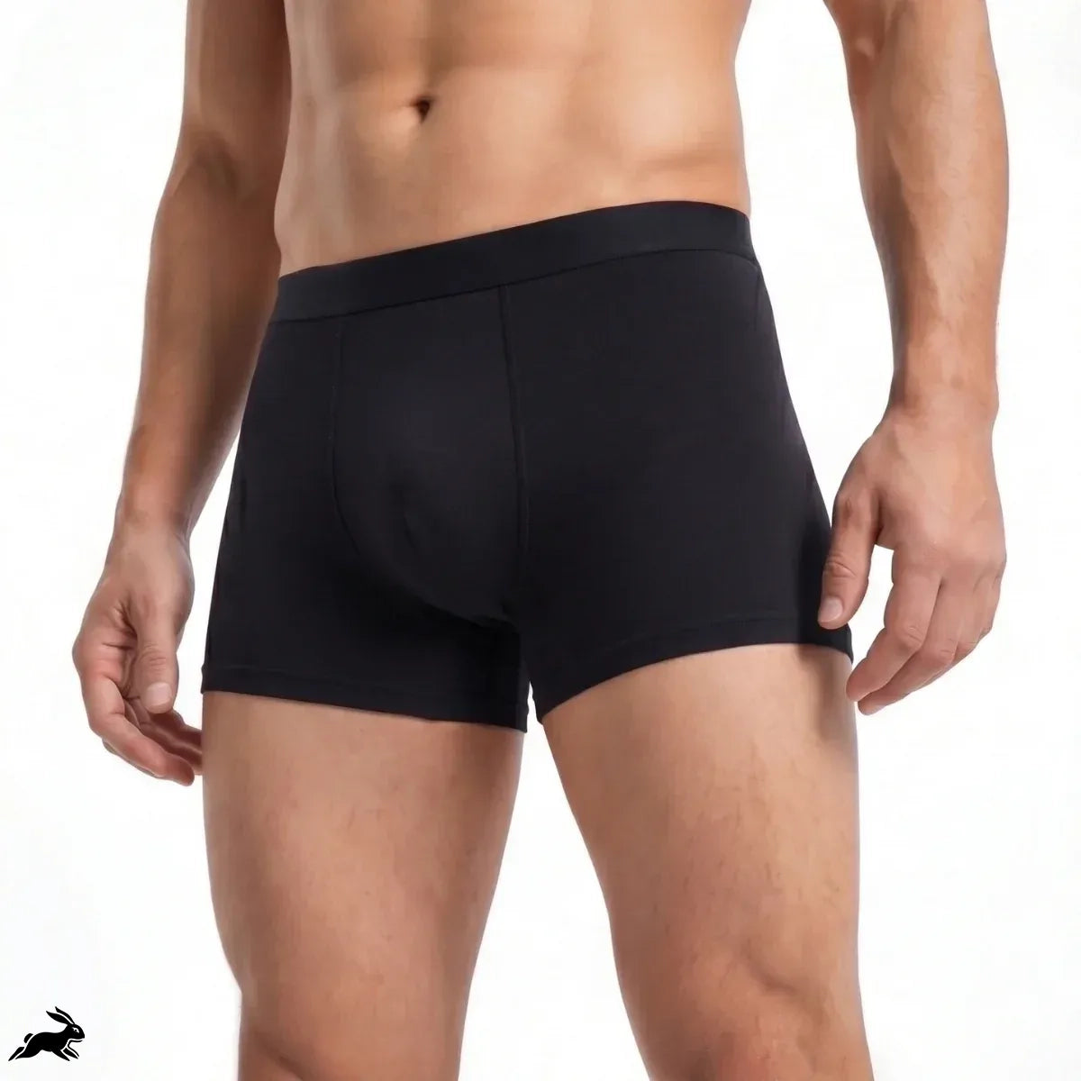Titan Boxers Leakproof Originals