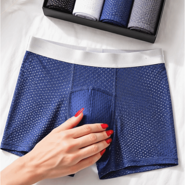 🔥 BEST DEAL 70% OFF🔥Premium Leakproof IceSilk Mesh Men's Boxer