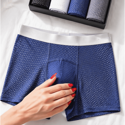 🔥 BEST DEAL 70% OFF🔥Premium Leakproof IceSilk Mesh Men's Boxer
