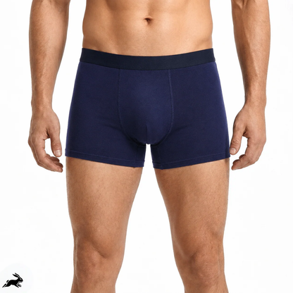 Titan Boxers Leakproof Originals