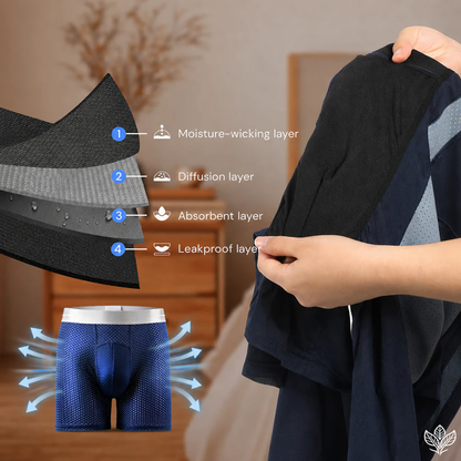 🔥 BEST DEAL 70% OFF🔥Premium Leakproof IceSilk Mesh Men's Boxer