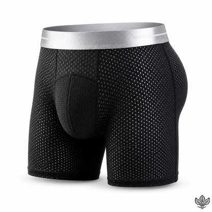 🔥 BEST DEAL 70% OFF🔥Premium Leakproof IceSilk Mesh Men's Boxer