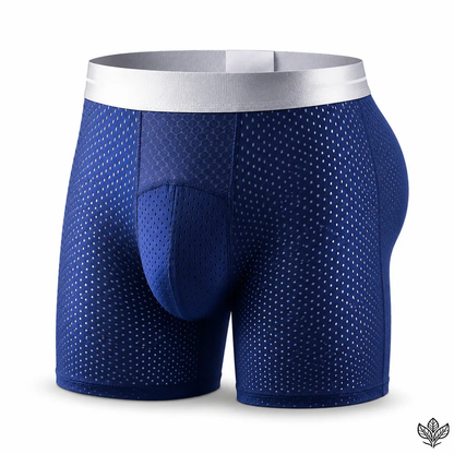 🔥 BEST DEAL 70% OFF🔥Premium Leakproof IceSilk Mesh Men's Boxer
