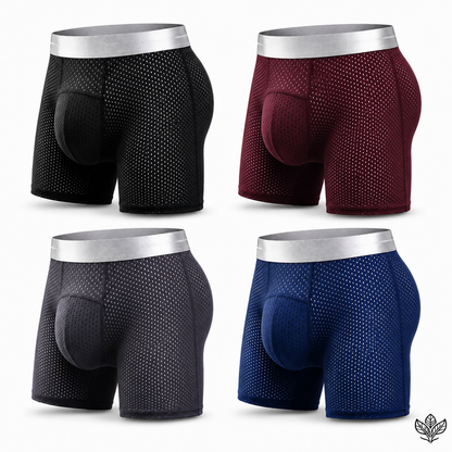 🔥 BEST DEAL 70% OFF🔥Premium Leakproof IceSilk Mesh Men's Boxer